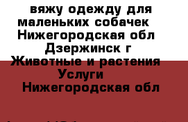 вяжу одежду для маленьких собачек  - Нижегородская обл., Дзержинск г. Животные и растения » Услуги   . Нижегородская обл.